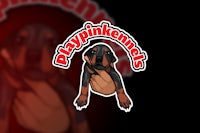 playpinkkennels logo on a black background