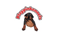 a logo for playpinkkennels