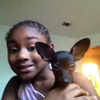a little girl holding a black chihuahua